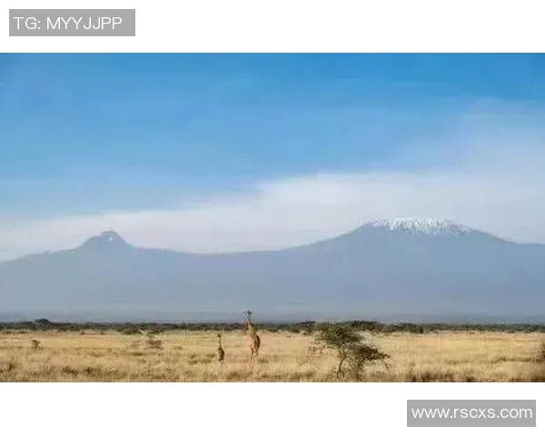 布莱克尼的神秘传说与历史遗迹探秘之旅 布莱克尼的神秘传说与历史遗迹探秘之旅
