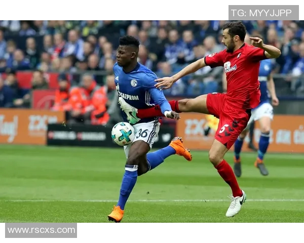 沙尔克04主场决战弗赖堡争夺三分欲重振雄风征战德甲